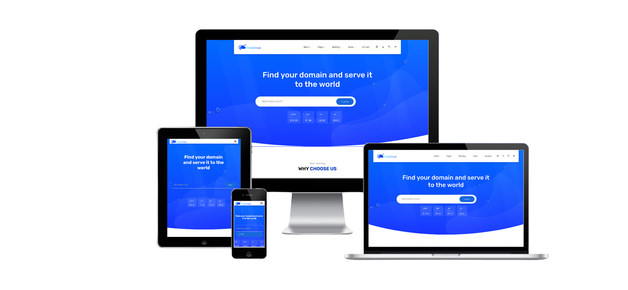 Domain & Hosting Business