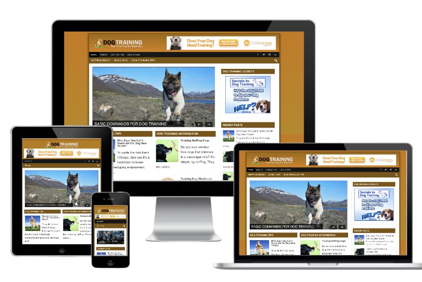 Home - Turnkey Niche Website Business Opportunity for Sale Dog Training Niche Blog